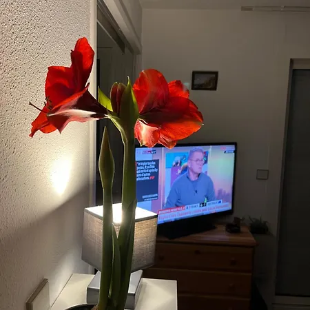 Appartement 34300 Le Cap D’agde *