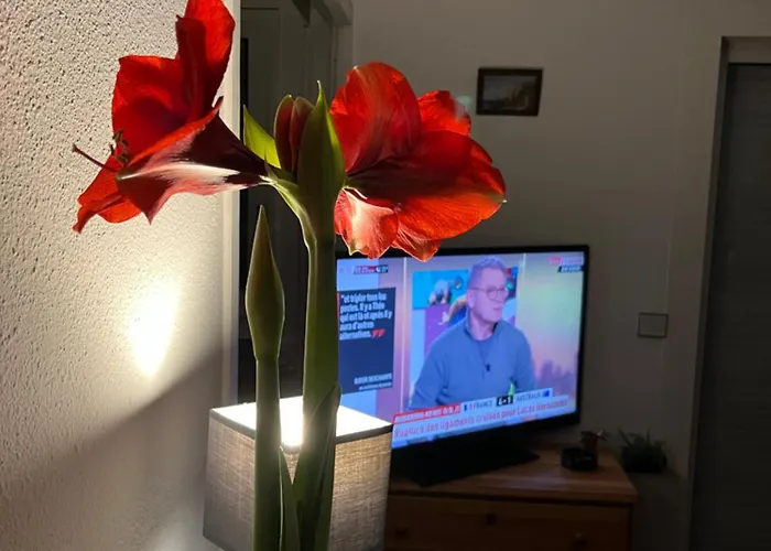 Appartement 34300 Le Cap D’agde *